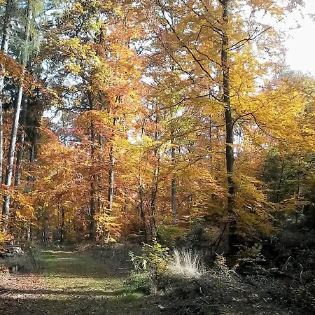 Rheintalblick St Goar Loreley * Sankt Goar