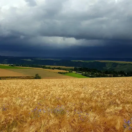 Apartment Rheintalblick St Goar Loreley Sankt Goar