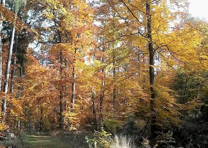 Rheintalblick St Goar Loreley * 圣哥阿