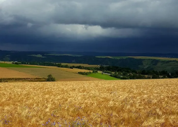 公寓 Rheintalblick St Goar Loreley 圣哥阿